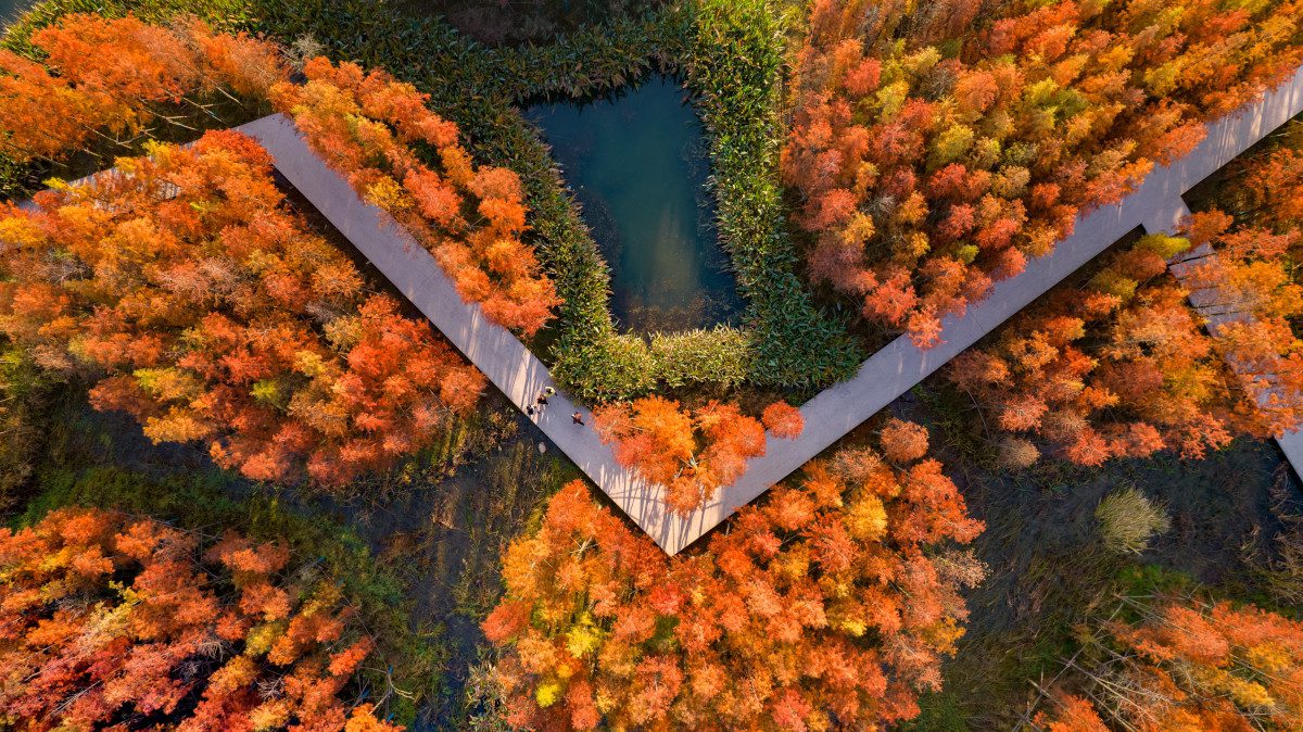 Fish-Tail-Park-in-Nanchang-City