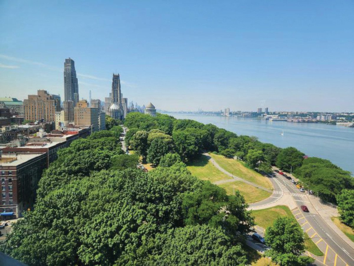 New-York-City-trees