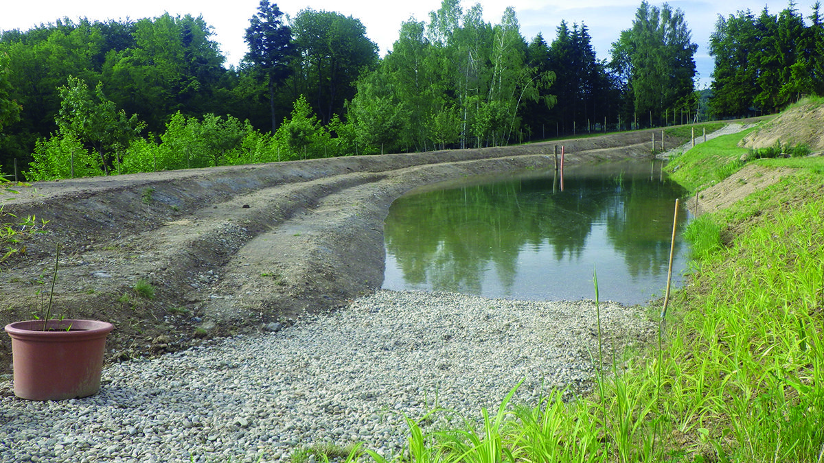 retention pond