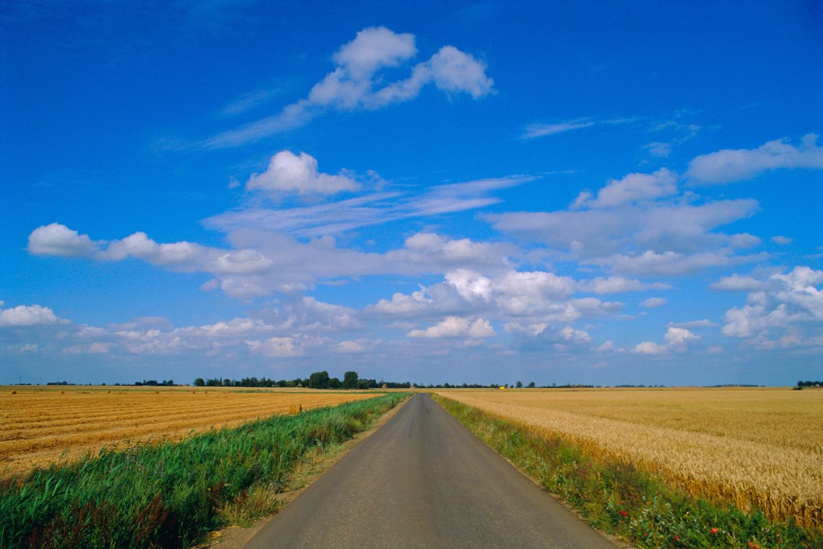 Road-through-fenland-in-Cambridgeshire