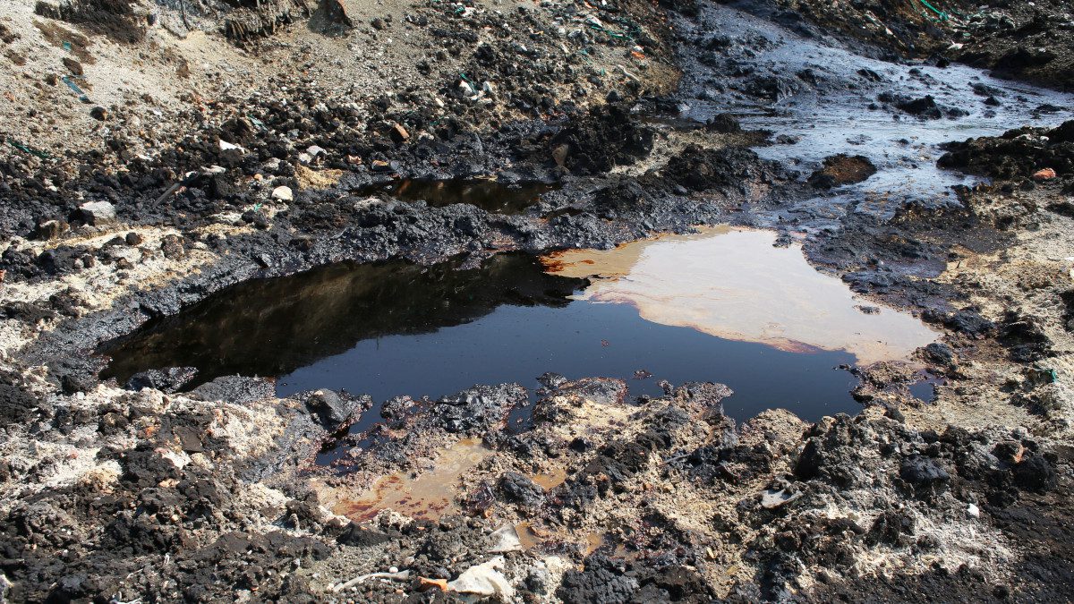 soil