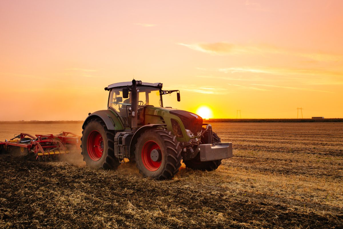 agriculture