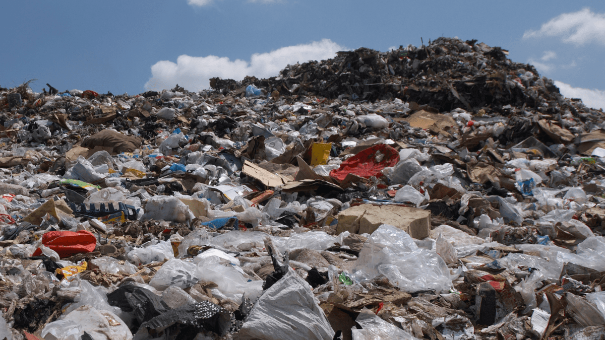 landfill