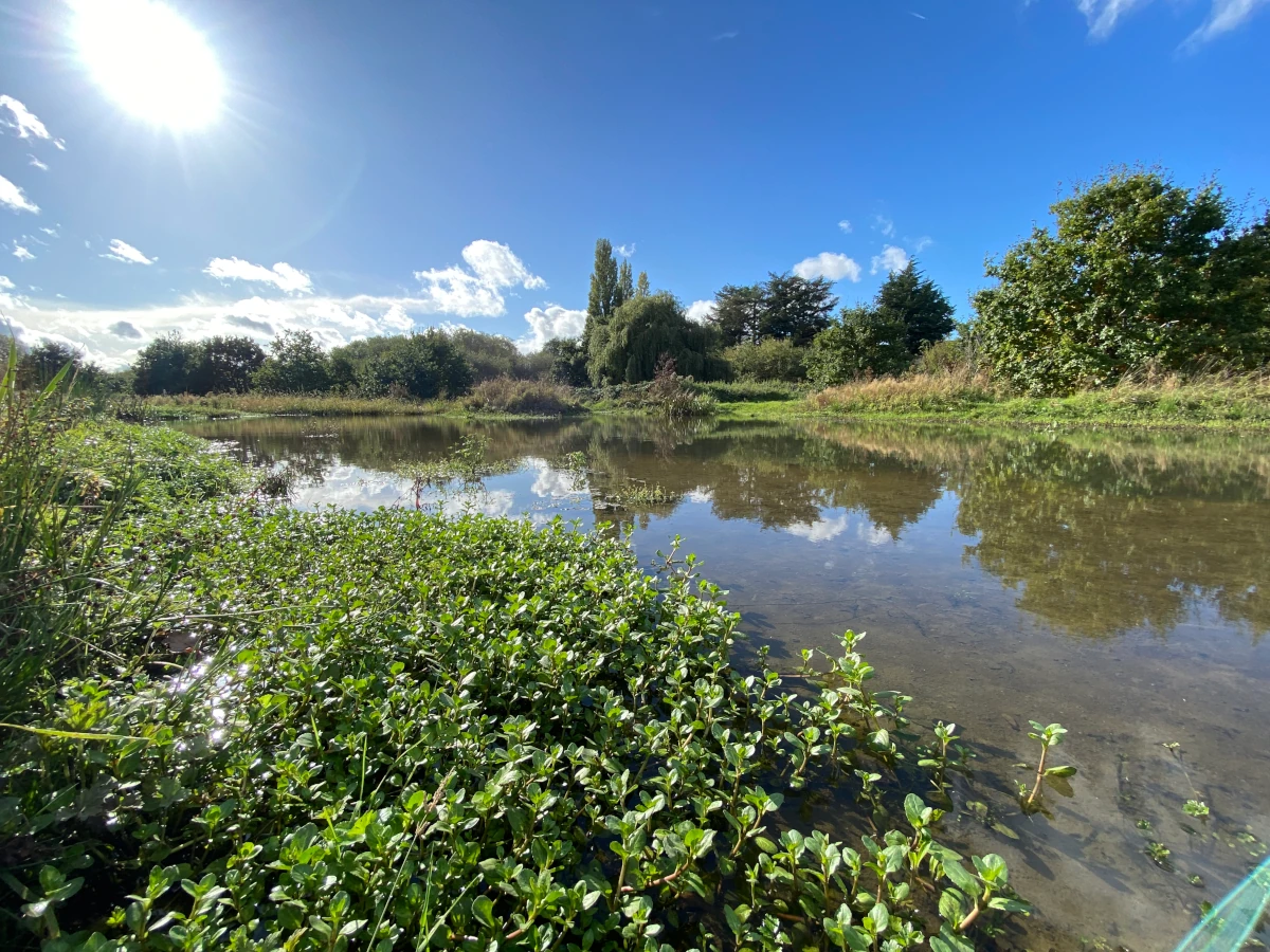 River-Rom-Dagenham
